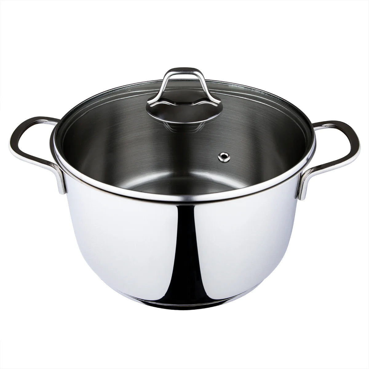 Serenk Modernist Stainless Steel Stock Pot, 24 Cm