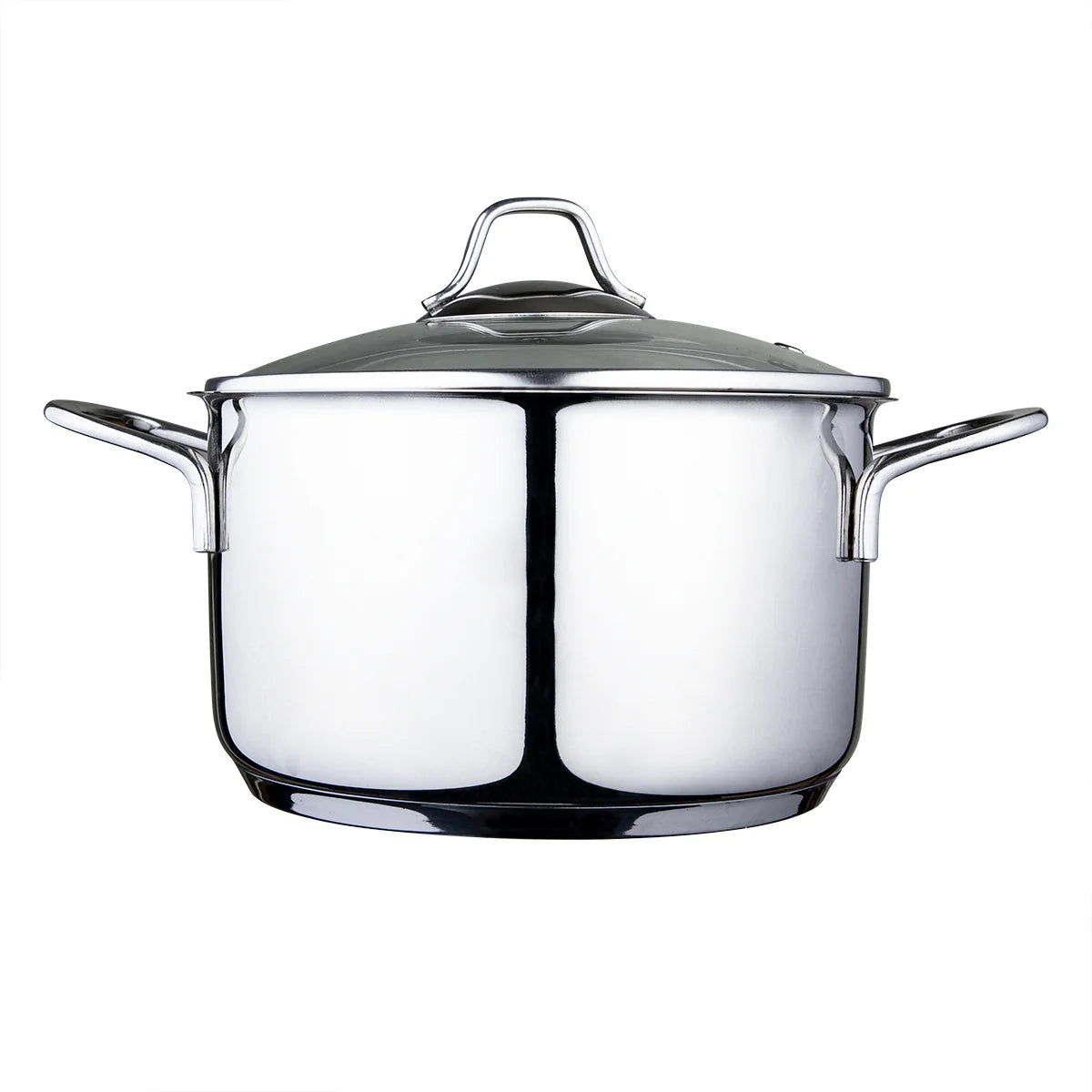 Serenk Modernist Stainless Steel Stock Pot, 20 Cm