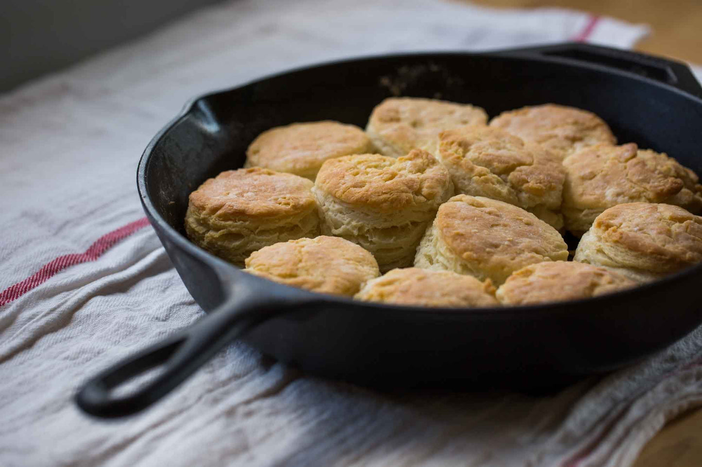 Cast Iron Seasoned 12" Skillet